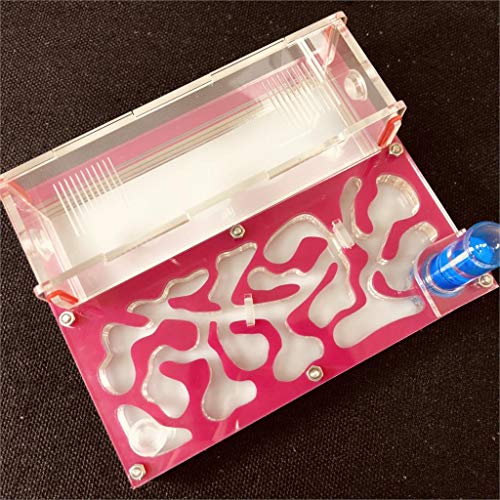 ANT 150mmx110mm Test Tube Moisture Big Space Nest Farm Acrylic, Insect Villa House Ecological Workshop (Pink) - color: pink