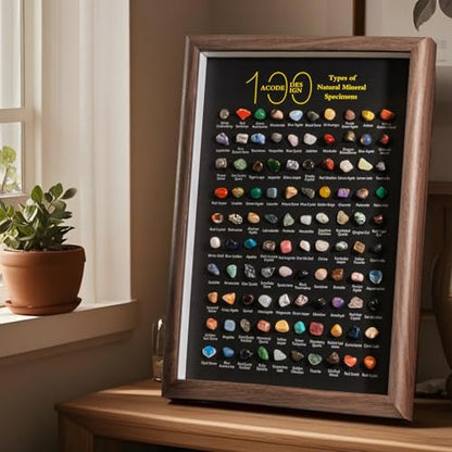 ACODE Natural Mineral Specimen Shadow Box, Geology Collection Display Case, Home Decor Wall Art Tabletop Display with Real Rocks Crystals, Gift for Birthday Christmas Housewarming Children's Day