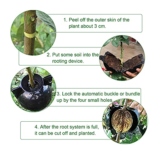 30 Pcs Air Layering Pods, 2 Inch Reusable Plant Root Boxes, PP