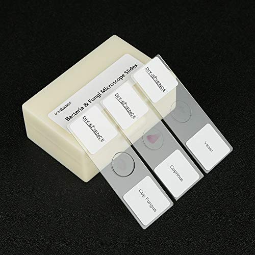 Prepared Bacteria and Fungi Microscope Slide Set, 9pcs Slides for Biology Teacher Students Micro Organisms Science Education - color: Bacteria & Fungi