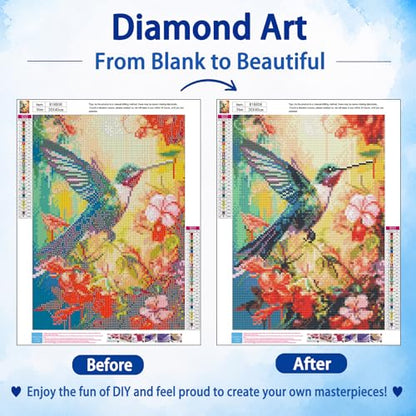 Hummingbird Diamond Art Kits for Adults, Diamond Painting, 12x16 Inch - color: 09-Hummingbird, size: 12X16 inch