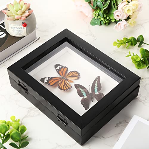 3 Pcs Insect Display Case Wall Mount Clear Bug Display Case Collection Box with Anti Fade UV Protection Top Eva Foam Pin 300 Pcs and 3 Sizes Pins Insect Shadow Box for Butterfly Specimen