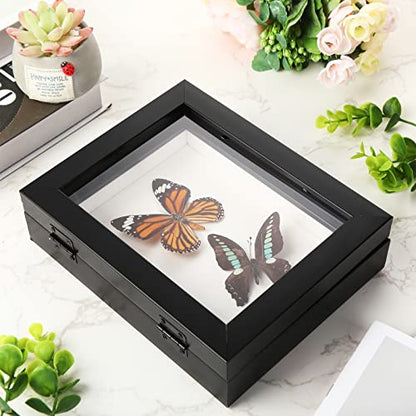 3 Pcs Insect Display Case Wall Mount Clear Bug Display Case Collection Box with Anti Fade UV Protection Top Eva Foam Pin 300 Pcs and 3 Sizes Pins Insect Shadow Box for Butterfly Specimen