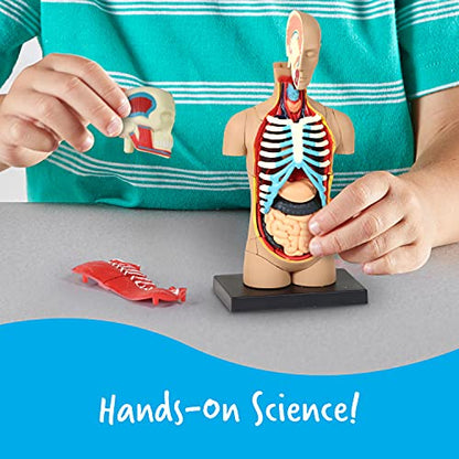 Learning Resources Human Anatomy Model Body