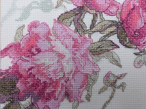 Aine A1010 Peonies. Whisper Counted Cross Stitch Kit 7 x 6 in - size: Peonies. Whisper