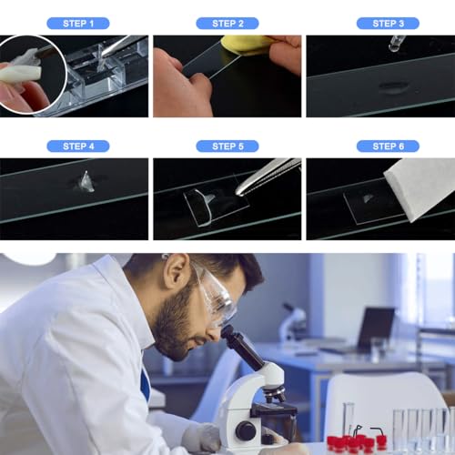 Microscope Slides and Covers Kit 50 Pcs Pre-Cleaned Blank Glass Slides for Microscopes 100 Pcs Square Coverslips for Experiments & Analyses