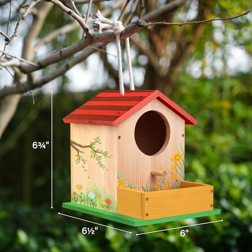 LotFancy Bird House Kit, DIY Wooden Birdhouse Kits, Arts and Crafts Painting Kits for Kids Ages 4+, Build and Paint, Including Paints & Brushes - style: Build a Bird House
