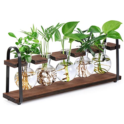 5-Bulb Plant Propagation Station, Glass Vase Terrarium, Wood Metal Stand - color: Dark Brown