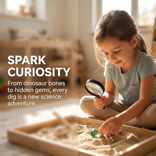 5 Pcs Kids Archaeology Digging Tool Set