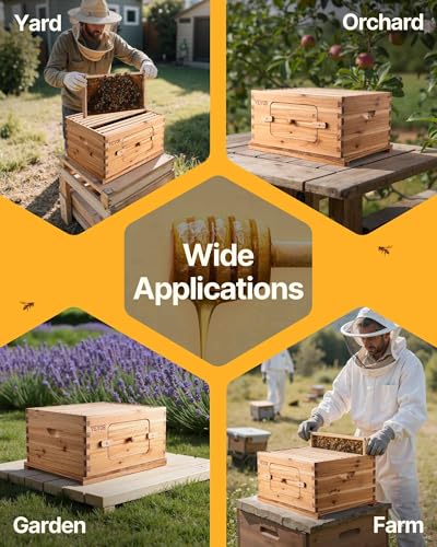 VEVOR Bee Hive 10 Frame Bee Hives Starter Kit, Beeswax Coated Fir Wood, 1 Deep + 1 Medium Bee Boxes Langstroth Beehive Kit, Transparent Acrylic Windows with Foundations for Beginners Pro Beekeepers - size: Deep Box x 1+ Medium Box x 1