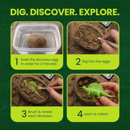 Nature Gear Dino Dig Kit for Kids, Dinosaur Eggs Digging Kit, Educational Egg Excavation Kit with 12 Glow in The Dark Mystery Dinosaurs, Interactive Archaeology Fossil Toy for Kids Age 3-5 and Up - style: Dinosaur Eggs Kit
