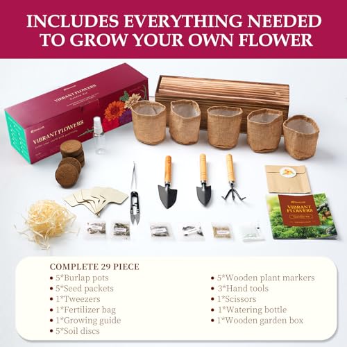 5 Indoor Flowers Growing Kit for Beginners, Complete Planting Starter Set with Zinnia, Cosmos, Sunflower, Marigold, Cornflower Seeds, Unique Gardening Gifts for Women & Men