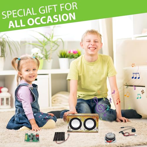 Teen Boy Gifts -DIY Bluetooth Speaker Kit -STEM Science Electronics Project - style: Printed Dual Speakers