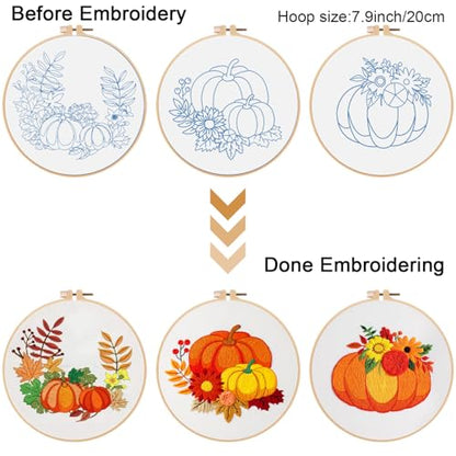 Louise Maelys 3 Set Embroidery Kit for Beginners with Pumpkin Harvest - color: pumpkin flower