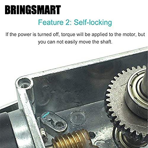 BRINGSMART 12V 16rpm DC Worm Gear Motor Self-Locking Mini Engine Turbine - size: 12V 16rpm