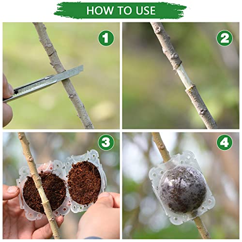 Supking 8 Pcs Air Layering Pods Plant Rooting Grow Propagation Ball Small Transparent Assisted Cutting Rooting Grafting Device Root Box for Plants - size: Small