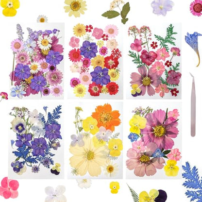 Dried Pressed Flowers Real Pressed Flowers Natural Dry Leaves Bulk Mixed Colorful Herbs Kit with Tweezers for Scrapbooking DIY Candle Jewelry Crafts Making Nails - color: Vivid Color
