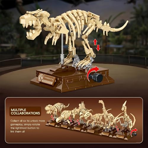 DRZYJ Tyrannosaurus Rex Dinosaur Fossil Building Set, 289Pcs Movable T-Rex Skeleton Model Kit with Museum Display Stand, Educational Dinosaur Toy for Kids 8 for Dinosaur Lovers & Collectors - style: Tyrannosaurus rex