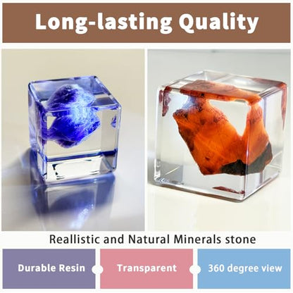 Crystal Specimen in Resin Cube - 6 Minerals Amethyst Lapis Lazuli for Geology Classroom STEM Education Healing Crystals Collection Display Gift 1.38×1.38×1.38inch