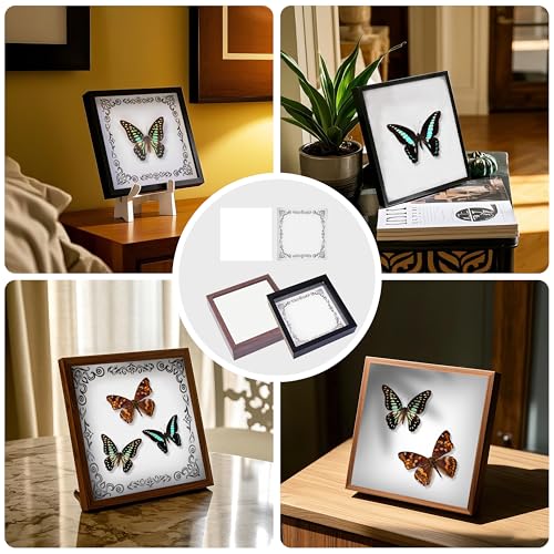 Insect Specimen Tools Kit - EVA Foam Pinning Board, Coordinate Paper, Wings Pressing Paper, Insect Pins & Butterfly Pins, Complete Entomology Kit for Beginners (Walnut Display Case Box Kit) - size: Walnut Display Case Box Kit