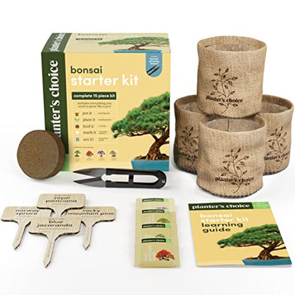 Bonsai Tree Kit for Beginners & Plant Lovers - Grow Your Own Bonsai