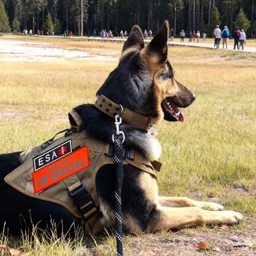 Emotional Support Dog Patches 2 pcs, ESA ID Tag Easily Attach to Dog Collar, Harness (Orange) - color: ESA Patch (Orange)
