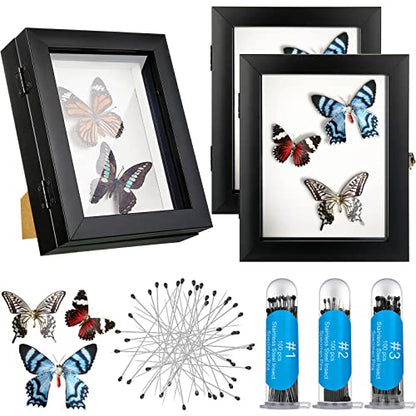 3 Pcs Insect Display Case Wall Mount Clear Bug Display Case Collection Box with Anti Fade UV Protection Top Eva Foam Pin 300 Pcs and 3 Sizes Pins Insect Shadow Box for Butterfly Specimen