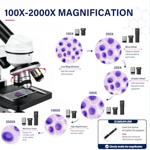 Microscope for Adults Students, 100X-2000X Metal STEM Microscope Kit