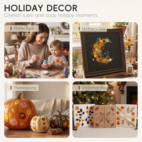 LUXEEASE 100P Autumn Dried Pressed Flowers, Warm Tone - color: Autumn Warm-tone 100p