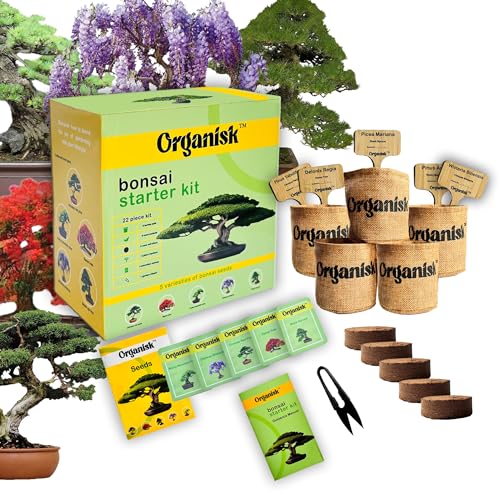Bonsai Starter Kit - 5 Unique Tree Types, Special DIY Garden Hobby Kits - Great for Plant Lovers, for Kids, Men, Women, and Bonsai Enthusiasts
