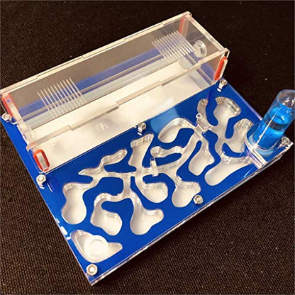 ANT 150mmx110mm Test Tube Moisture Big Space Nest Farm Acrylic, Insect Villa House Ecological Workshop (Blue) - color: Blue
