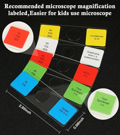 120 Microscope Slides with Specimens Set, Lab-Grade Prepared Microscope Slides for Kids Adults, Animal/Plant/Microbe/Tissue/Cells, STEM Biology Kit for Homeschool, Classroom Labs & Science Education - size: Ages 11+
