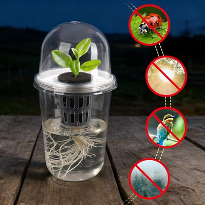 Clear Hydroponic Nursery Pots with Humidity Domes & Rrow Sponge 6-Pack