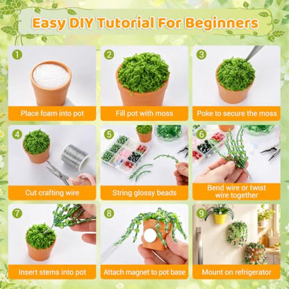 Deluxe Beaded Plant Kit, DIY Forever Plant Gift Kit with Video Tutorials - color: Forever Plant Gift Collection - Deluxe Kit