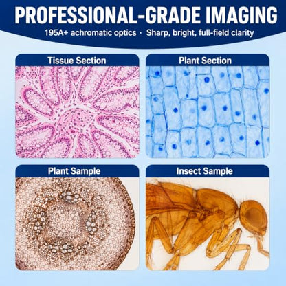 Compound Binocular Microscope for Adults, Professionals & Kids, 40X-640X Magnification with LED Illumination, Mechanical Stage, WF10x & WF16x Eyepieces，Suitable for Schools Home Labs Educational