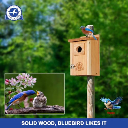 SISTERBIRD 2 Pack Blue Bird Houses for Outdoors, Warming Gifts Bird House - color: Burly Wood -- 2PK