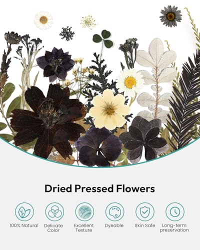 Dried Flowers, Resiners 100Pcs Pressed Flowers for Craft Black Real Natural Dried Flowers Dry Leaves Kit for DIY Making Crafts Resin Soap Candle Scrapbook Supplies Card Making Jewelry - color: Nightfall 100pcs