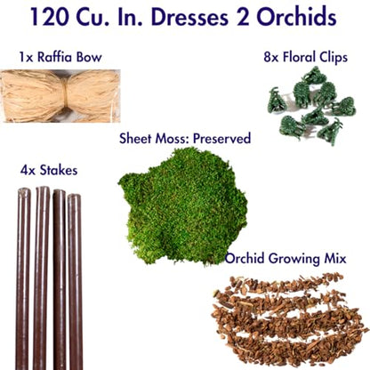 SuperMoss (90447) Orchid Potting Kit, Complete Orchid Care Set with Preserved Moss, Orchid Bark, Floral Clips and Stakes, 120 Cu. in., Sheet Moss, Green - size: 120 Cu. In., style: Sheet Moss