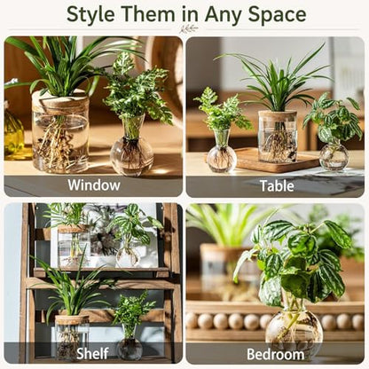 Plant Propagation Stations, 2 Style Glass Planter Terrariums, Propagation Vases for Plant, Plant Propagation Jars for Hydroponic Planter Home Office Tabletop Decoration (4)