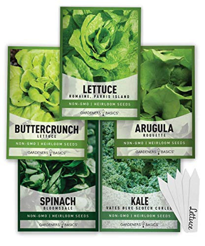 Beginner Indoor Garden Lettuce Kit - Includes Romaine, Buttercrunch Lettuces, Spinach, Arugula, and Kale Heirloom Seeds, Pots, Soils and Plant Markers - Complete Indoor Vegetable Garden Starter Kit