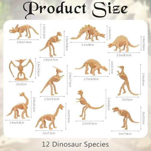 30 PCS Dinosaur Fossil Skeletons, Assorted Dinosaur Skeleton Toys Figures for Science Play Dino Sand Dig Party Favor Decorations (Dino skeletonD) - style: dino skeletonD