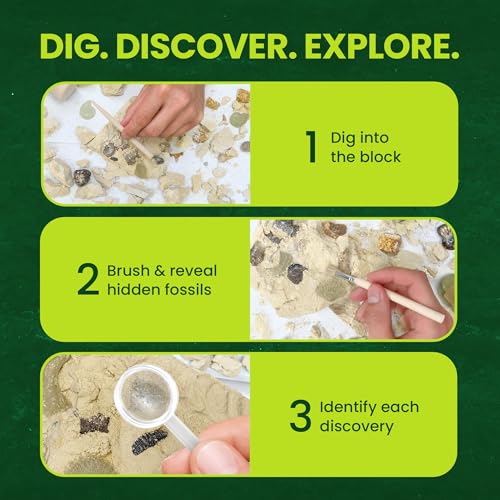 Nature Gear Dino Fossil Dig Kit for Kids, Educational Excavation Kit with 15 Glow in The Dark Mystery Fossils, Interactive Dinosaur Science Kits for Kids Age 3-5 and Up, Excavation Adventure Kit - style: Excavation Adventure Kit