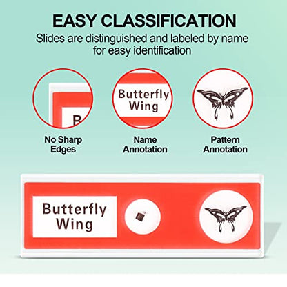 Prepared Plastic Microscope Slides with Specimens for Kids, Microscope Sample Slides Full Range of Animal/Plant/Insect/Blood Biology Slides Gift Set for Kids Microscope (60PCS) - color: 60PCS