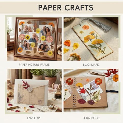 LUXEEASE 100P Autumn Dried Pressed Flowers, Warm Tone - color: Autumn Warm-tone 100p