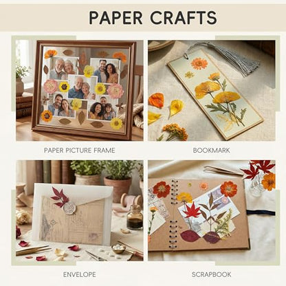 LUXEEASE 100P Autumn Dried Pressed Flowers, Warm Tone - color: Autumn Warm-tone 100p