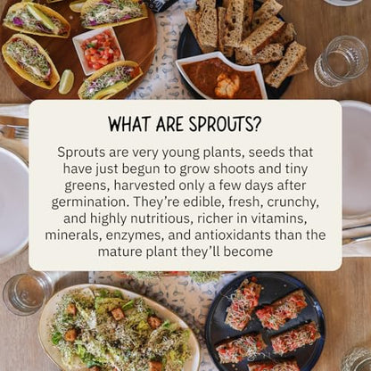 The Sprouting Company Jar Sprouting Kit with 8oz Salad Mix Sprout Seeds