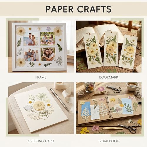 LUXEEASE 100P White Foliage Mix Dried Pressed Flowers - color: Pure White 100p