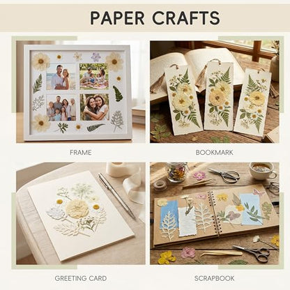 LUXEEASE 100P White Foliage Mix Dried Pressed Flowers - color: Pure White 100p
