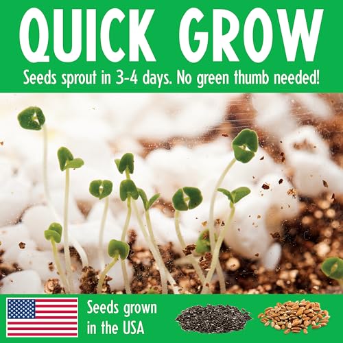 Creativity for Kids Grow N Glow Dinosaur Terrarium Kit | Create, Plant & Grow a DIY Terrarium Kit with Glow-in-the-Dark Stickers & Dino Toys | Screen Free Fun All Summer Long & STEM Kit (Ages 6+)