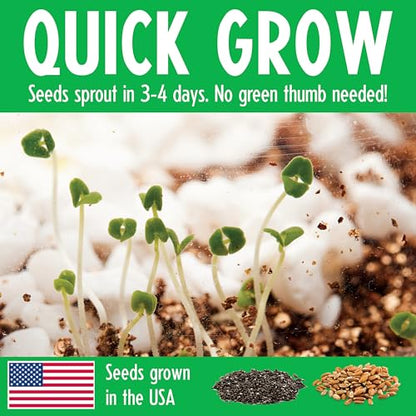 Creativity for Kids Grow N Glow Dinosaur Terrarium Kit | Create, Plant & Grow a DIY Terrarium Kit with Glow-in-the-Dark Stickers & Dino Toys | Screen Free Fun All Summer Long & STEM Kit (Ages 6+)